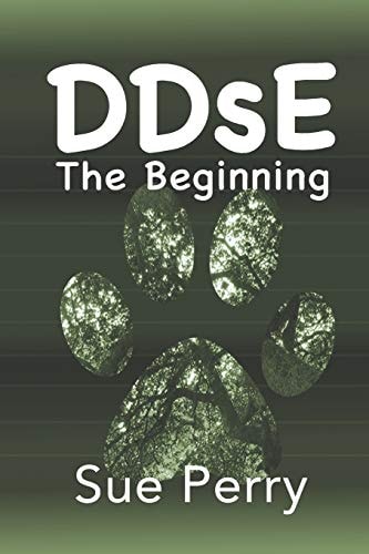 DDsE The Beginning