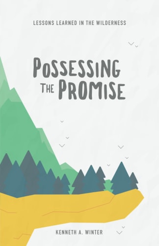 Possessing The Promise Lessons Learned In The Wilderness (Book 3)