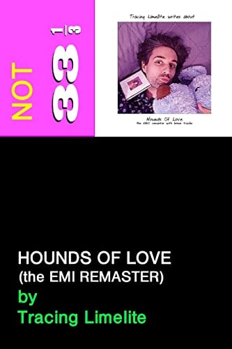 Hounds of Love (The Emi Remaster) (Not 33 1/3)