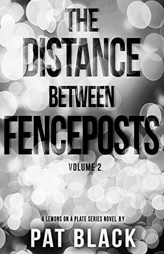 The Distance Between Fenceposts Volume 2