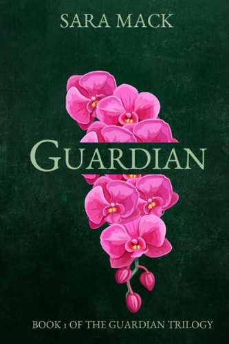 Guardian A Paranormal ghostly romance