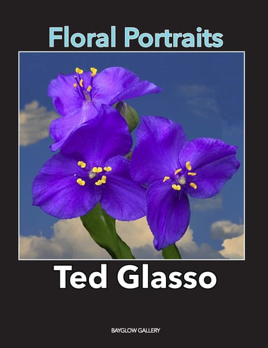 Floral Portraits A Series of Portraits of Flowers