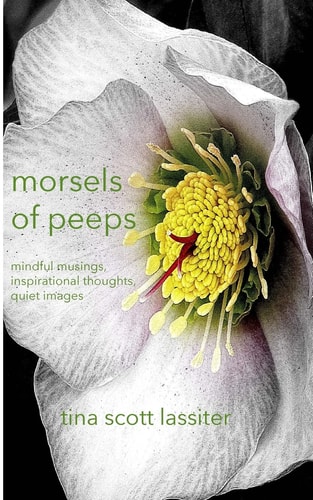 Morsels of Peeps Mindful Musings, Inspirational Thoughts, Quiet Images