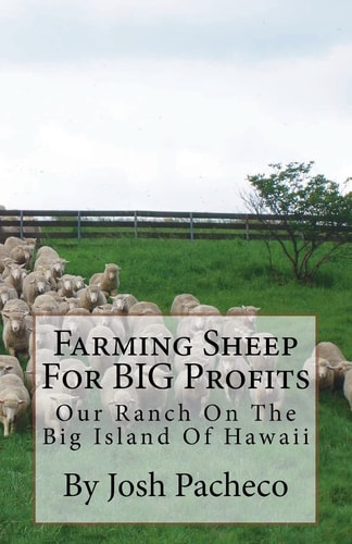Farming Sheep For BIG Profits