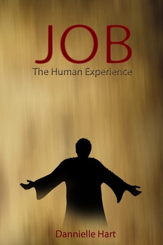 Job The Human Experience