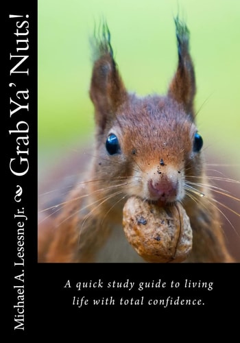 Grab Ya' Nuts! A Quick Study Guide to Living Life with Total Confidence.