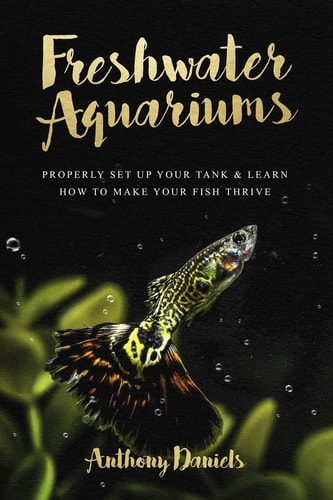 Freshwater Aquariums Properly Set Up Your Tank & Learn How to Make Your Fish Thrive