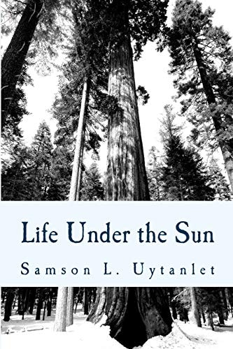 Life Under the Sun Insights from Ecclesiastes