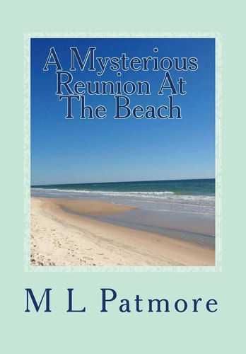 A Mysterious Reunion At The Beach A Florida Coastal Fishing Village Mystery Book Two