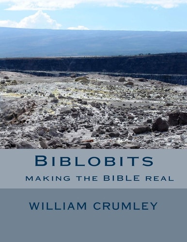 Biblobits Making the Bible Real