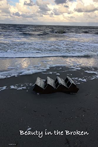 Beauty in the Broken