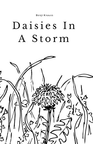 Daisies In A Storm A Short Story Collection