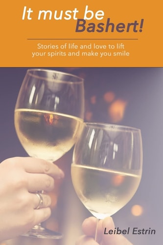 It Must Be Bashert Stories of Life and Love to Lift Your Spirits and Make You Smile