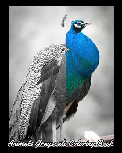 Animals Grayscale Coloring Book A Gorgeous Coloring Book with Fun, Simple and Beautiful Animal Pictures