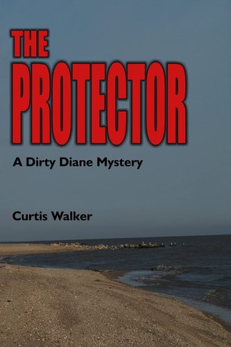 The Protector A Dirty Diane Mystery