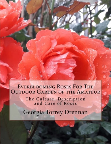 Everblooming Roses For The Outdoor Garden of the Amateur The Culture, Description and Care of Roses