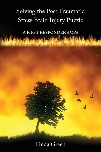Solving the Post Traumatic Stress Brain Injury Puzzle PTSD Puzzle: a First Responder's GPS