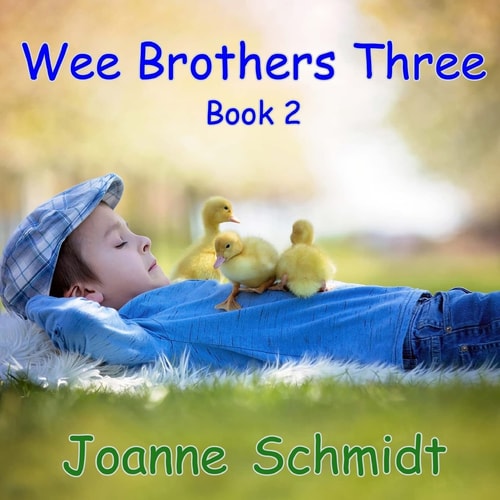 Wee Brothers Three Book 2