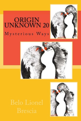 Origin Unknown 20 Mysterious Ways