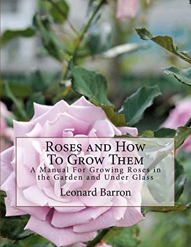 Roses and How to Grow Them A Manual for Growing Roses in the Garden and Under Glass