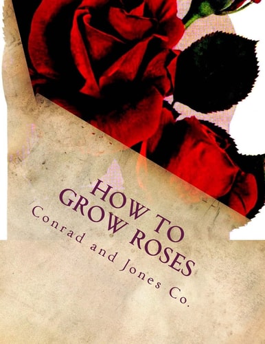 How to Grow Roses Dedicated to the Flower Loving People of America