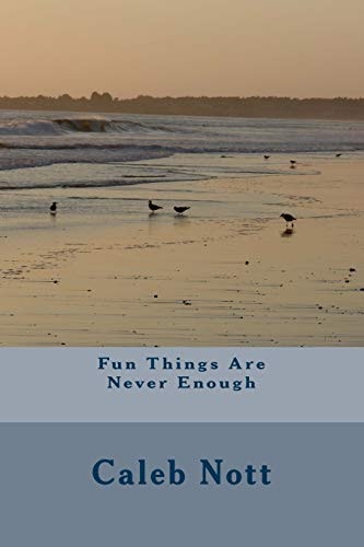 Fun Things Are Never Enough