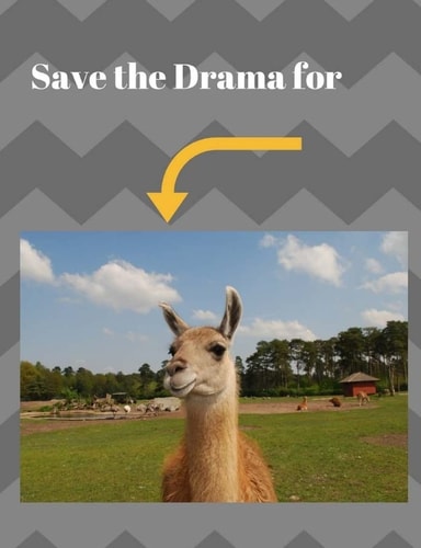 Save the Drama For