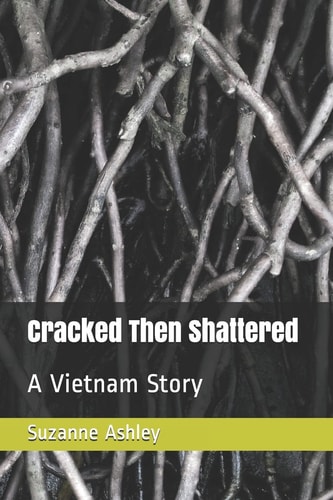 Cracked Then Shattered A Vietnam Story