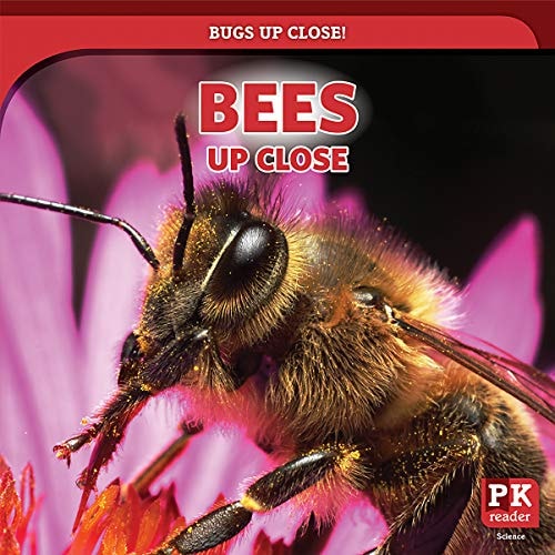 Bees Up Close