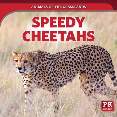 Speedy Cheetahs