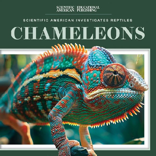 Chameleons