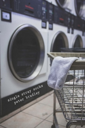 Single Stray Socks