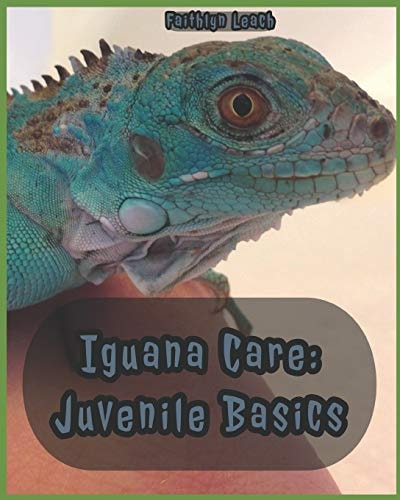 Iguana Care Juvenile Basics