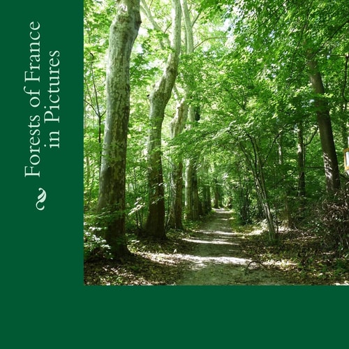 Forests of France in Pictures A Text-Free Picture Book for Alzheimer's, Seniors, Children