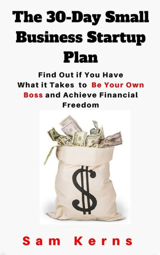 The 30-Day Small Business Startup Plan Find Out If You Have What It Takes to Be Your Own Boss and Achieve Financial Freedom