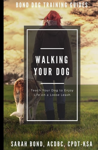 Walking Your Dog Teach Your Dog to Enjoy Life on a Loose Leash