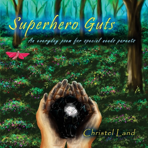 Superhero Guts An Everyday Poem for Special Needs Parents