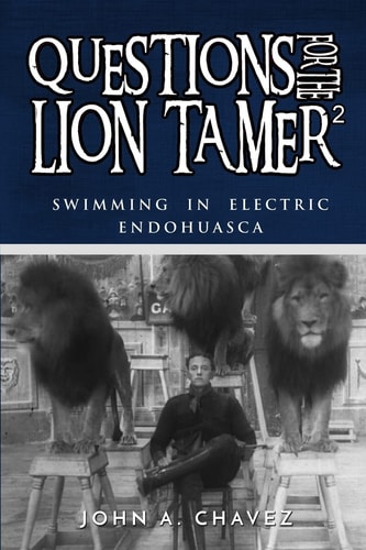 Questions for the Lion Tamer 2 Swimming in Electric Endohuasca