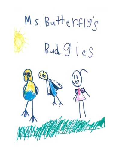 Ms Butterfly's Budgies A True Story about Ms Butterfly's Pet Budgerigars