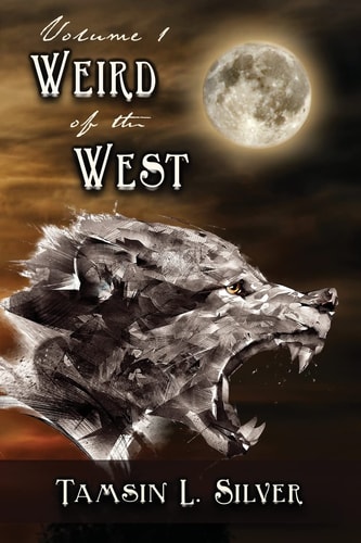 Weird of the West: Volume One Short Story Complilation