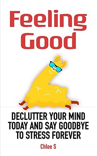Feeling Good Declutter Your Mind and Say Goodbye to Stress Forever