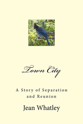 Town City A Story of Separation and Reunion