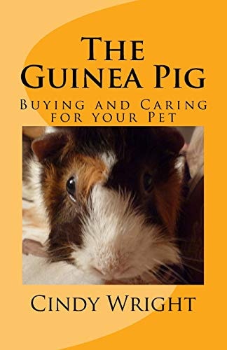 The Guinea Pig Buying and Caring for Your Pet