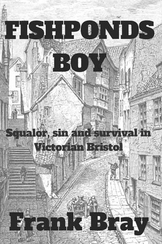 Fishponds Boy Squalor, Sin and Survival in Victorian Bristol