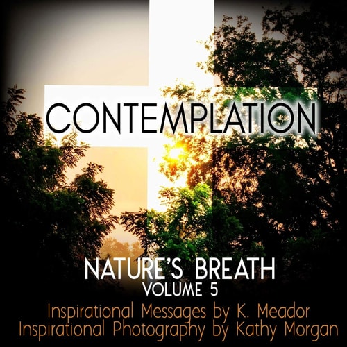 Nature's Breath Contemplation: Volume 5