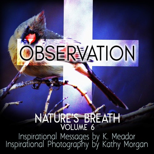 Nature's Breath Observation: Volume 6