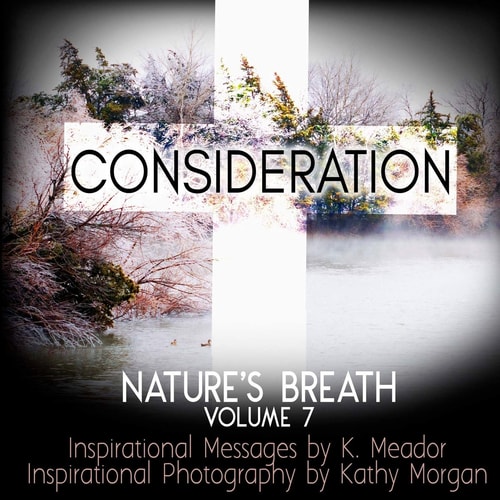 Nature's Breath Consideration: Volume 7