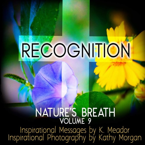 Nature's Breath Recognition: Volume 9
