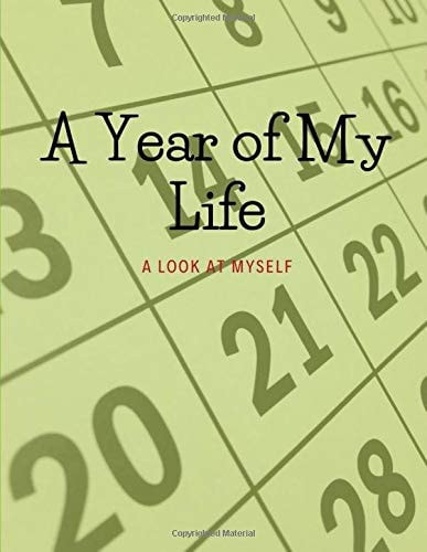 A Year of My Life A Look at Myself