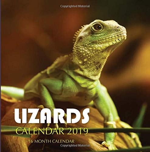 Lizards Calendar 2019 16 Month Calendar